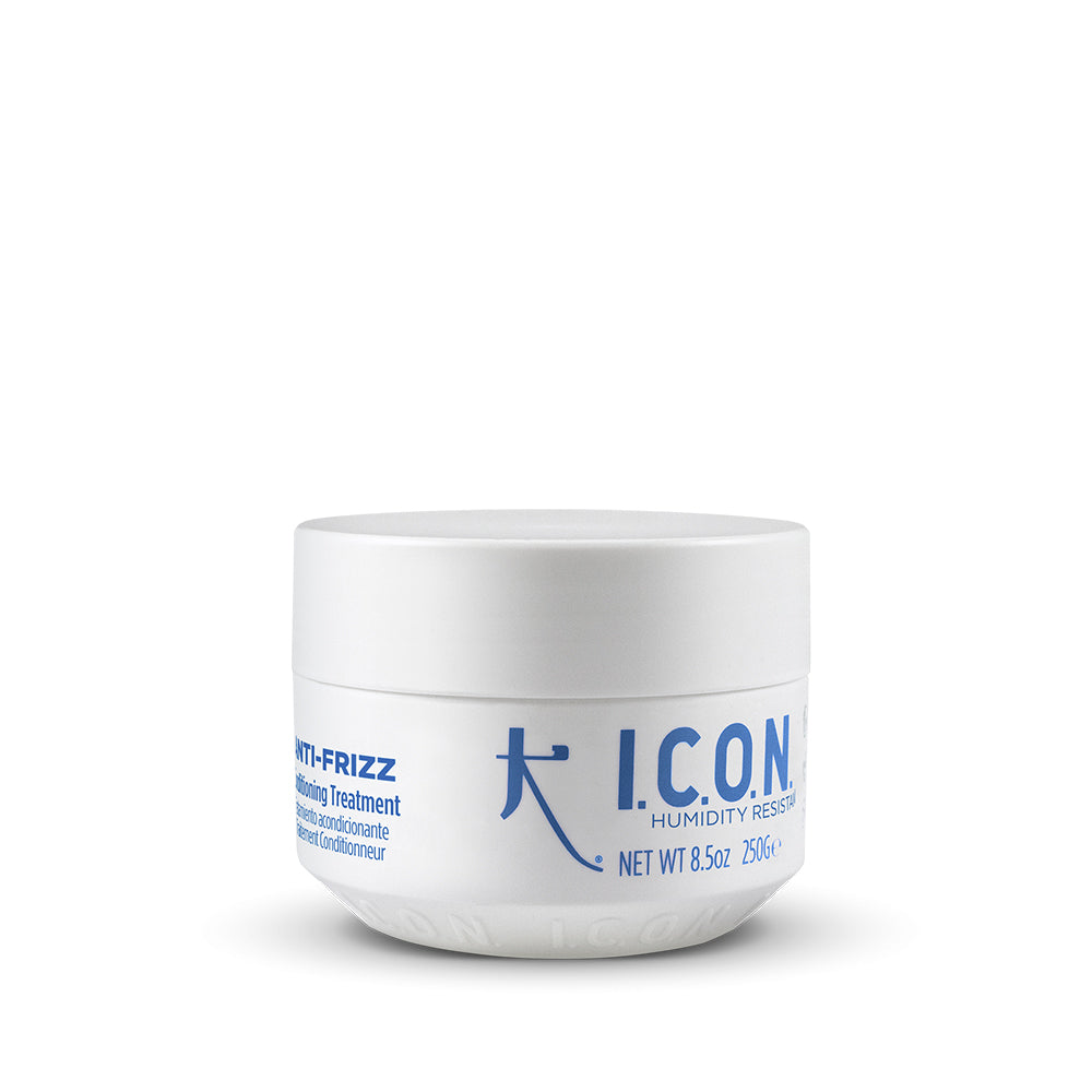 Anti-Frizz Conditionneur